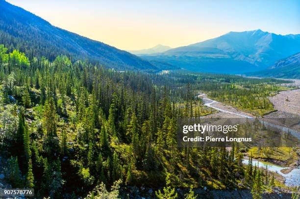 view of a valley with mcdonald creek at the bottom in stone mountain provincial park in summer, british columbia, canada - mcdonald creek stock-fotos und bilder