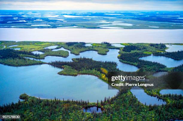 aerial view on the mackenzie river flowing through its delta toward arctic ocean, northwest territories - canada - beaufort sea stock pictures, royalty-free photos & images