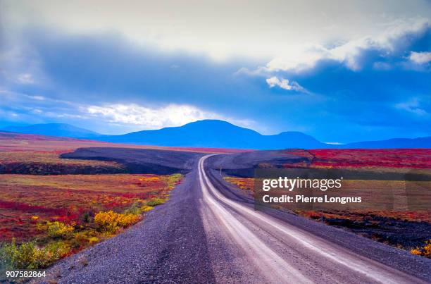 the dempster highway during the arctic autumn in august, yukon, canada - freie straße stock-fotos und bilder