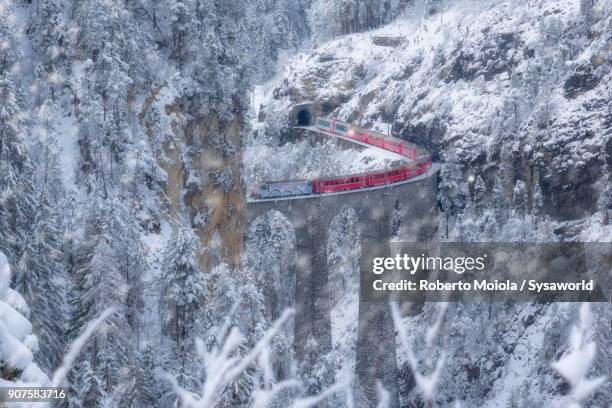 bernina express train, switzerland - svizzera imagens e fotografias de stock