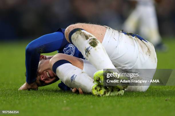 James McCarthy of Everton suffers an injury during the Premier League match between Everton and West Bromwich Albion at Goodison Park on January 20,...