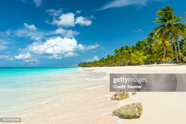 hermosa playa en el mar caribe y el cielo azul con algunas nubes - república dominicana fotografías e imágenes de stock