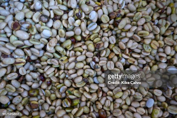 Coffee beans. Coffee collection center in Filandia. The town of Filandia, currently known as 'La Colina Iluminada de los Andes' .