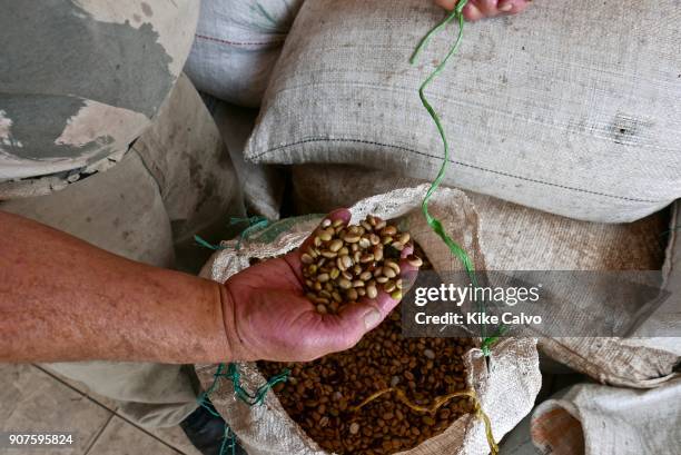 Coffee collection center in Filandia. The town of Filandia, currently known as 'La Colina Iluminada de los Andes' .