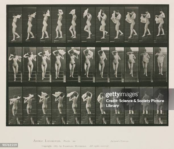 Photograph by Edweard James Muybridge , British-American photographer and pioneer of animal sequence photography. Muybridge photographed a horse...