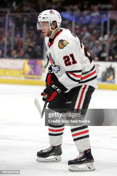 Rockford IceHogs defenceman Robin Norell prepares for a faceoff during the second period of the American Hockey League game between the Rockford...