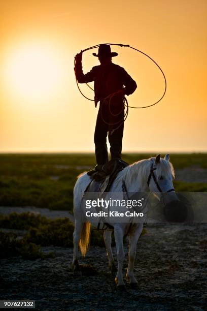 Gardian lassoing standing on a camargue horse.