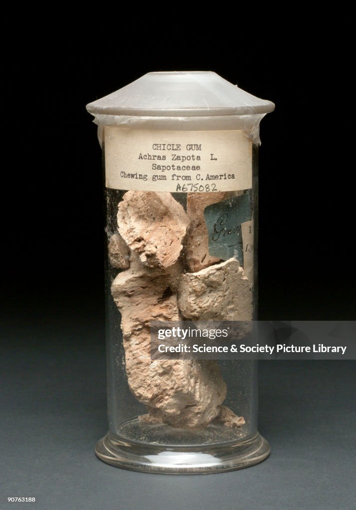 Jar of chicle or chewing gum, Central American, 1850-1900.