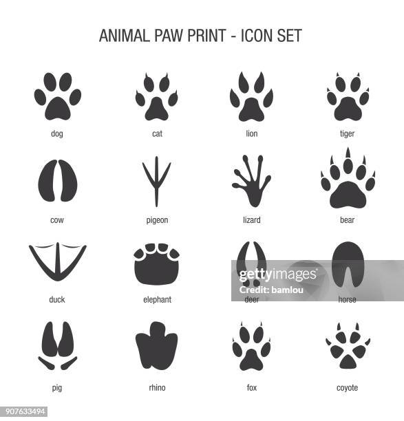 tierische paw print icon-set - kriechtier stock-grafiken, -clipart, -cartoons und -symbole