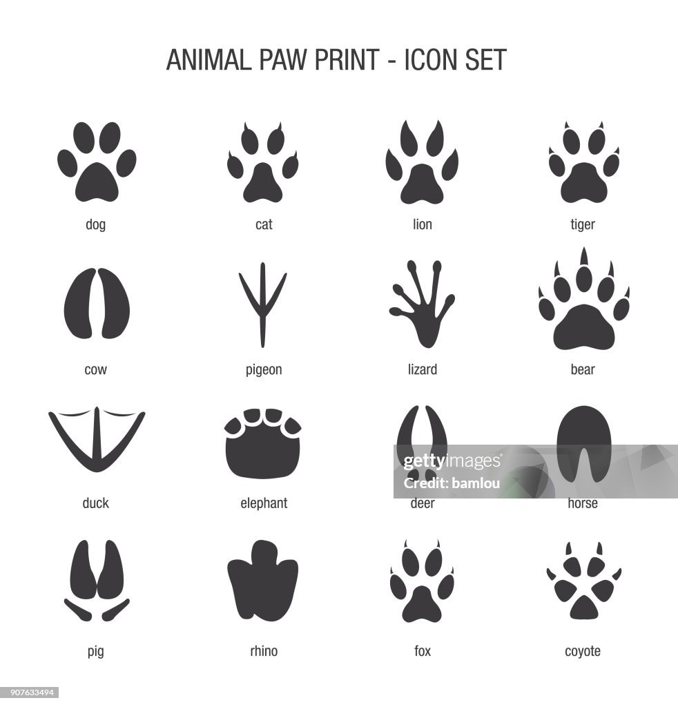 Conjunto de Paw animal icono impresión