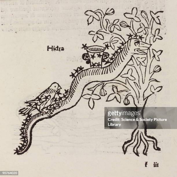 Woodcut from �Poetica astronomica� published in Venice in 1488. This work has been attributed to Hyginus who was born in Spain in about 60 BC. It was...