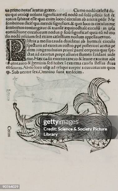 Woodcut from �Poetica astronomica� published in Venice in 1488. This work has been attributed to Hyginus who was born in Spain in about 60 BC. It was...