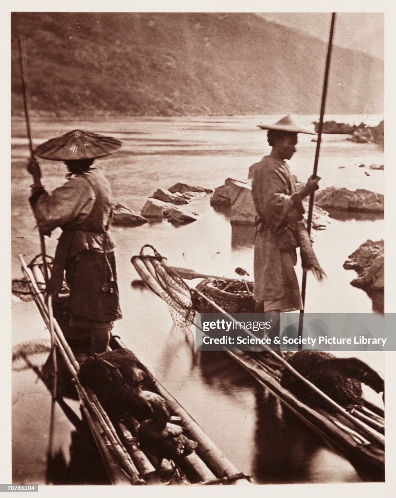 Fishing With Cormorants, c 1871.