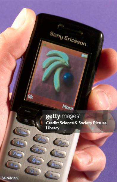 The key features of this mobile telephone include: new graphical interface; built-in camera; high-resolution colour screen; the capacity to store up...