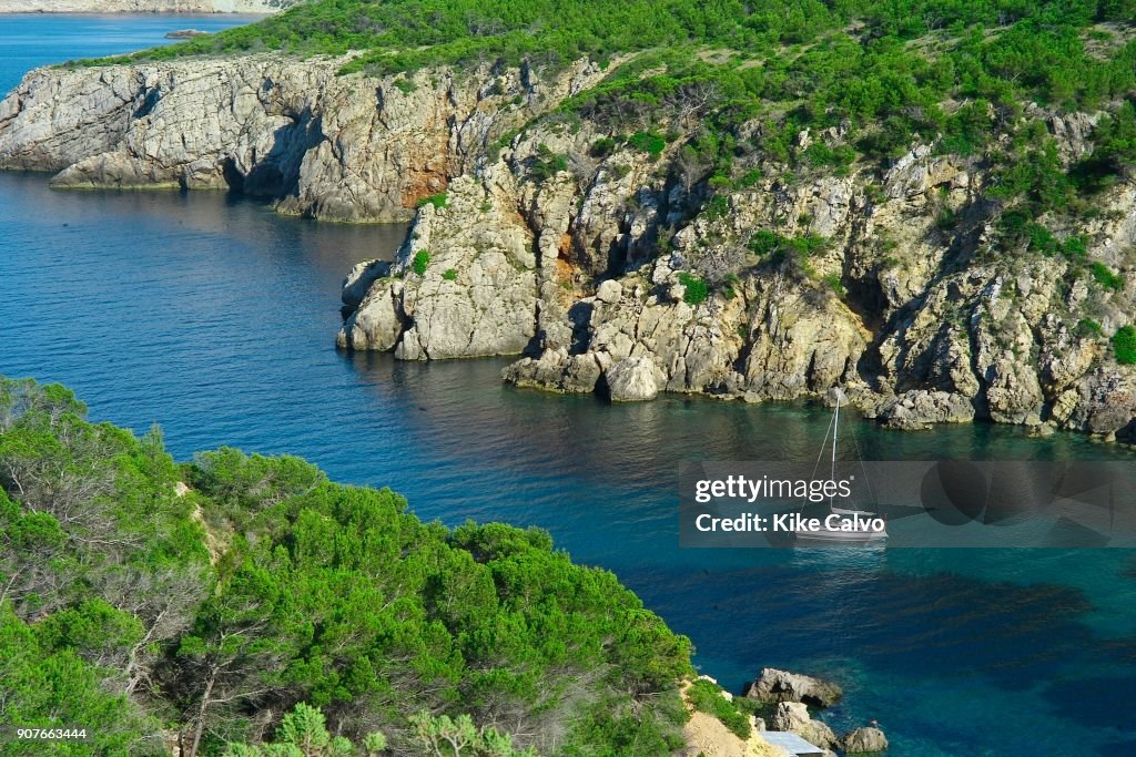 Summer in Ibiza