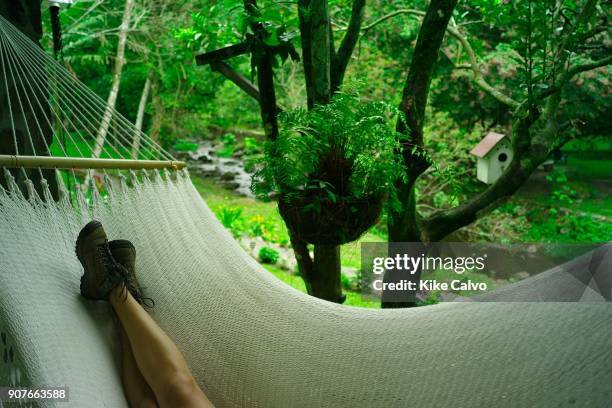 Wisps of fog arise from Cerro Gatal`s dense mountain foliage across the stream. Inches from your bedroom window, the cloud forest canopy is riotous...