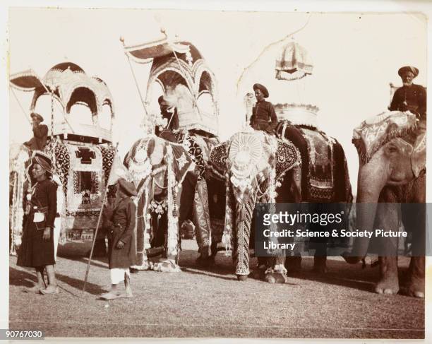 Snapshot photograph of four state elephants at a Durbar in India, taken by an unknown photographer in about 1908. These elephants, with their...