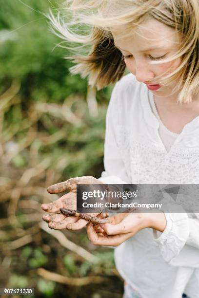 young girl learning and playing with an earthworms in her kitchen garden. - school denmark stock pictures, royalty-free photos & images