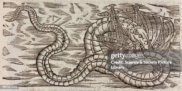 Woodcut of a sea-serpent believed to be 120 feet long 'appearing now and then upon the coasts of Norway, very dangerous and hurtful to the Sea-men in...