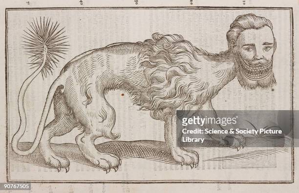 Woodcut of the mythical manticore. 'This beast or Monster_is bred amongst the Indians, having a treble row of teeth beneath and above, whose...