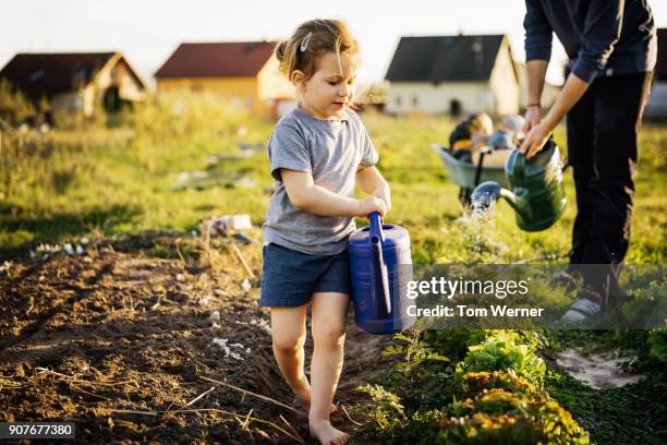 Farning Plot Farming Plots Fotografías e imágenes de stock - Getty Images