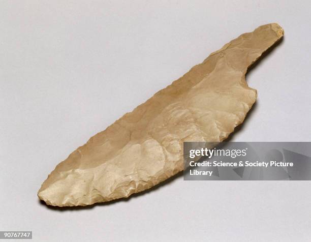 32 Disembowelment Stock Photos, HighRes Pictures, and Images Getty