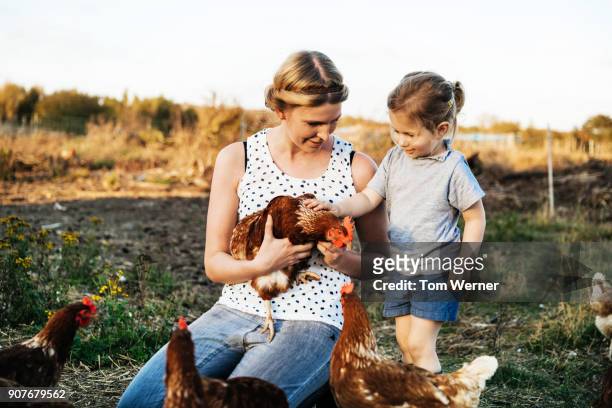 Young Woman Holding Chicken While Daughter Pets It On Urban Farm