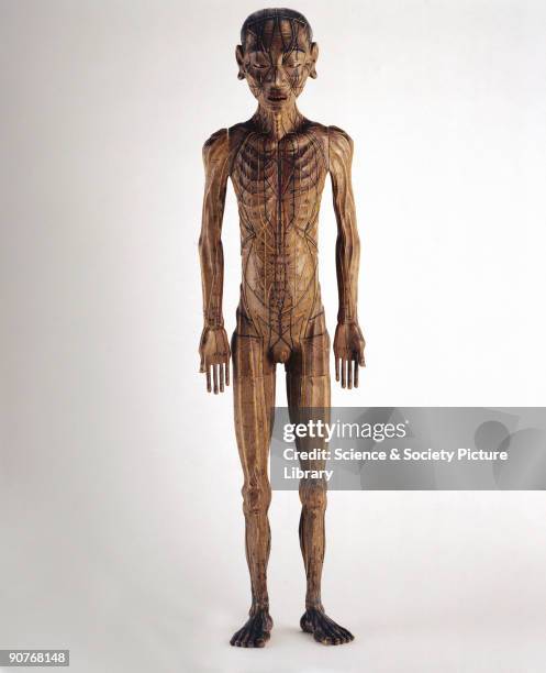This wooden figure of a man nearly a metre tall was used in acupuncture teaching in China. Acupuncture is a medical technique which has been...