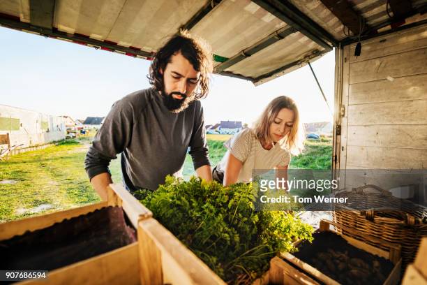 urban farmers loading crates of freshly harvested goods onto truck - harvest basket stock pictures, royalty-free photos & images