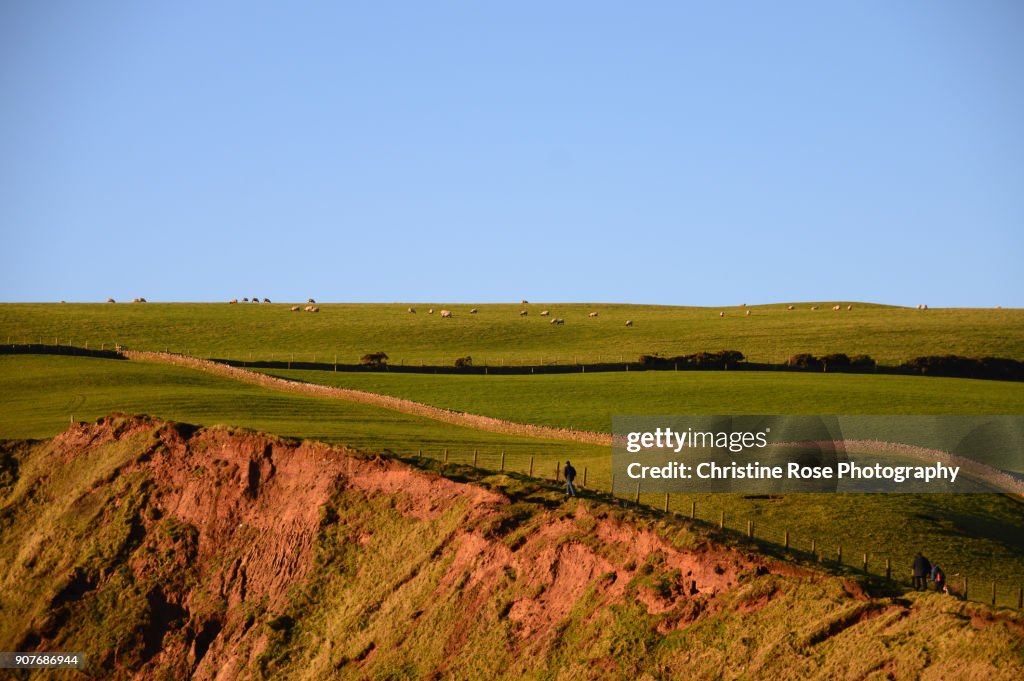 The Cliff Path