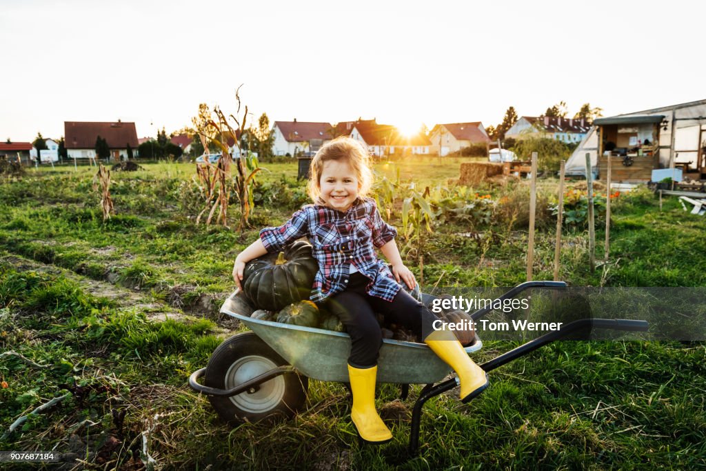 Young Girl Sitting On Wheelbarrow Full Of Pumpkins