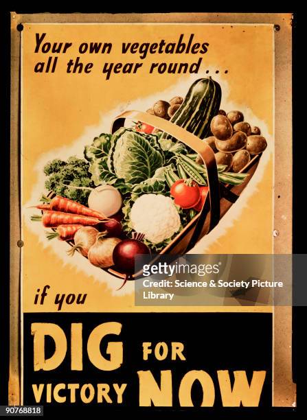 Your own vegetables all the year round_if you Dig for Victory Now�. Dufaycolor colour transparency copy of a British Second World War propaganda...