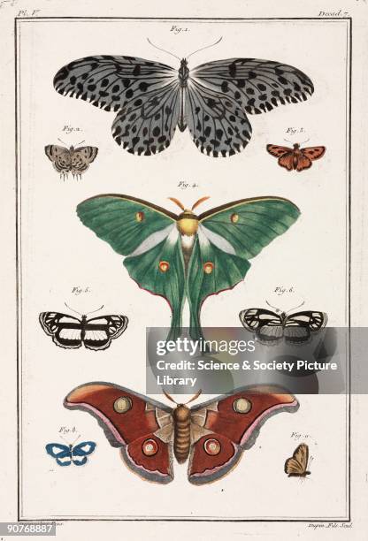 Hand-coloured engraving of various butterflies from an island near Madagascar, from Sierra Leone, the West Indies and Bengal. Figs 5) and 6) show the...