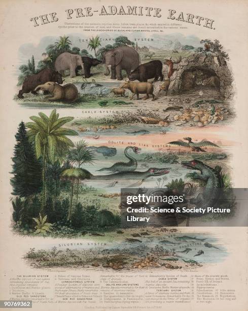 Engraving by John Emslie after his original drawing, showing illustrations of the various mammals, birds, reptiles, fish, trees and plants which...