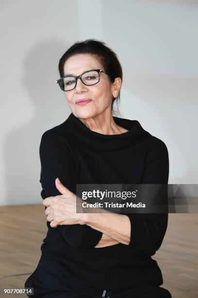 Hannelore Elsner during the BR Film Brunch at Literaturhaus on January 19, 2018 in Munich, Germany.