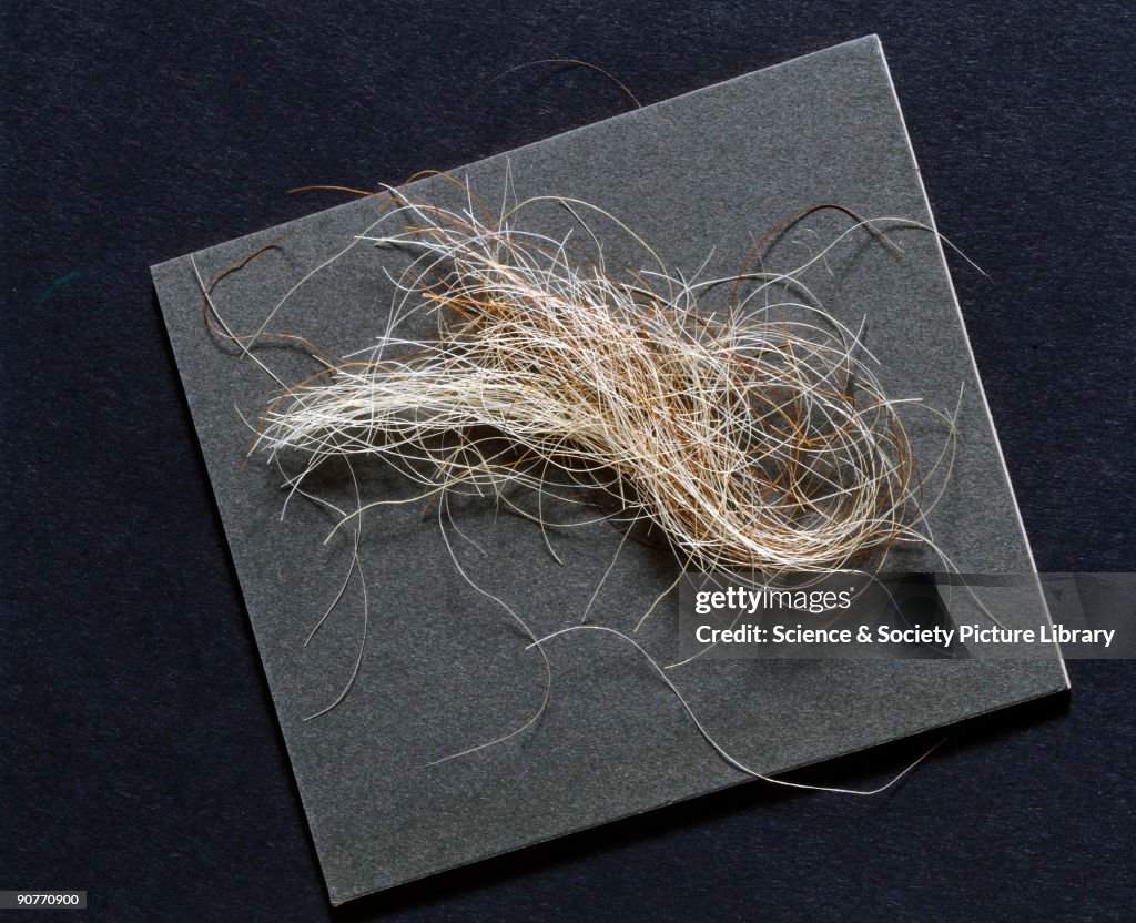 A lock of hair, reputed to have been taken from King George III, 1760-1820.
