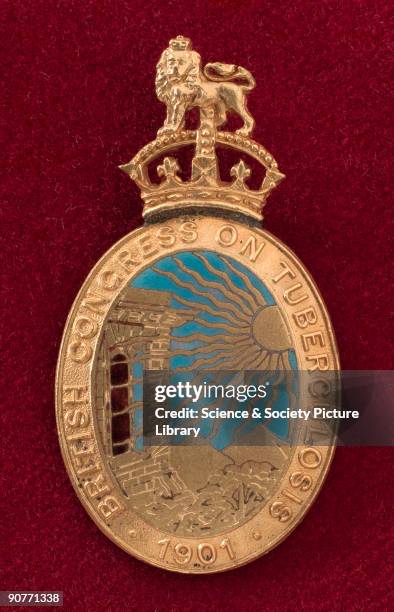 Oval gilt and enamel lapel badge worn by a delegate to the British Congress on Tuberculosis.