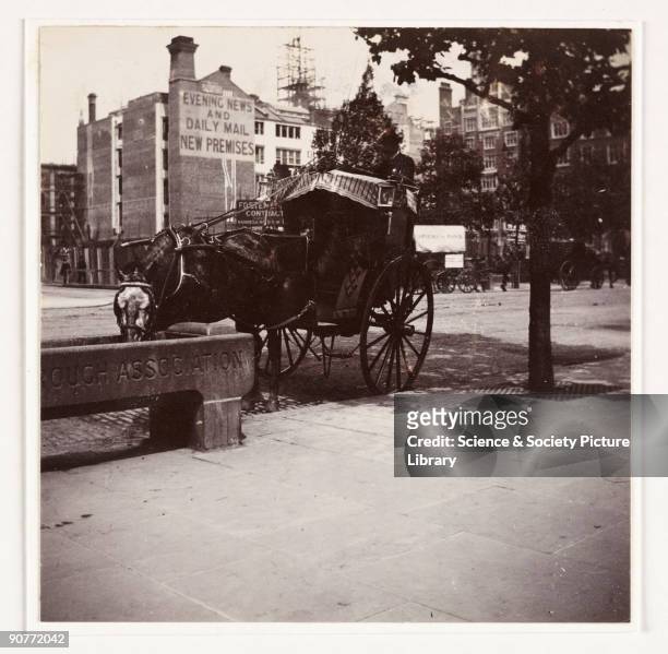 Photograph of a Hansom cab taken on a London street by Paul Martin in about 1900. A thirsty horse drinks from a roadside trough on a sunny day....