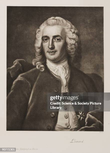 Carl Line 687 Carl Linnaeus Stock Photos, High-Res Pictures, and Images - Getty ...