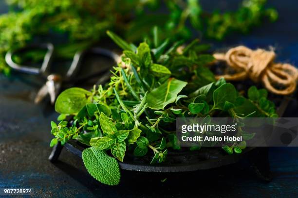 various fresh herbs - herb stock pictures, royalty-free photos & images