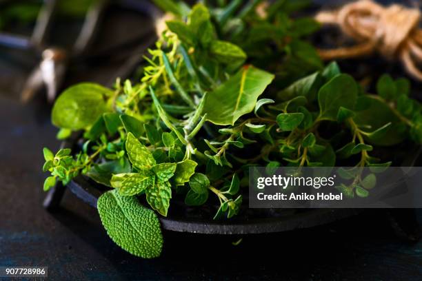 various fresh herbs - aniko hobel 個照片及圖片檔