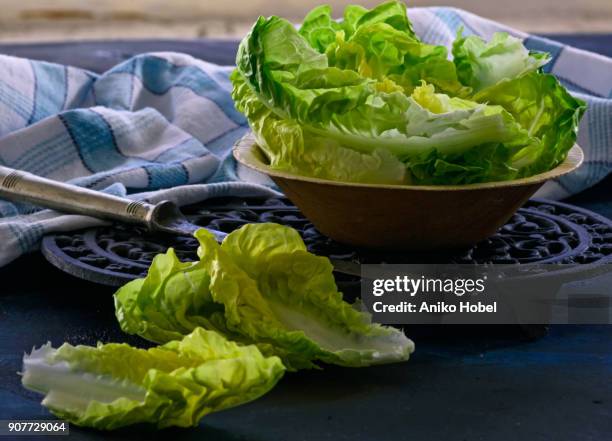 romane lettuce leaves - bindsla stockfoto's en -beelden