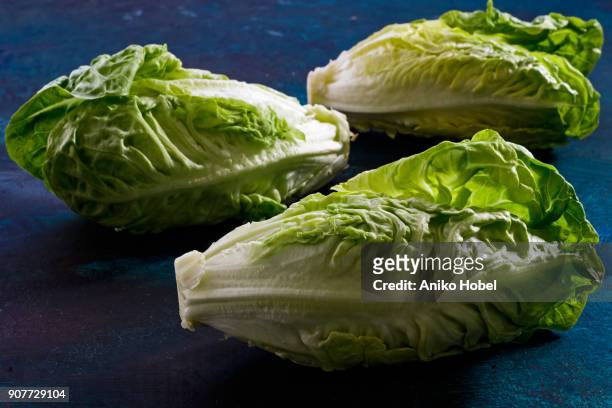 romaine lettuce - romaine lettuce stock pictures, royalty-free photos & images