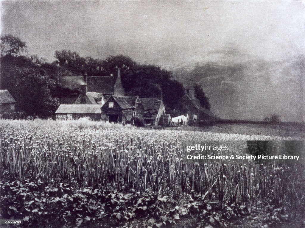 The Onion Field, 1890.