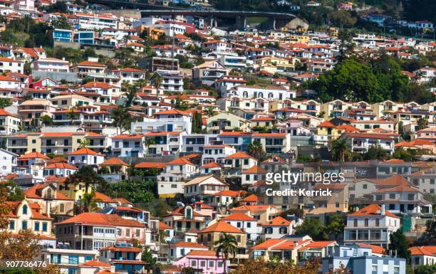 funchal - madeira, portugal - a lot of  colorful houses on the hills - baía do funchal imagens e fotografias de stock