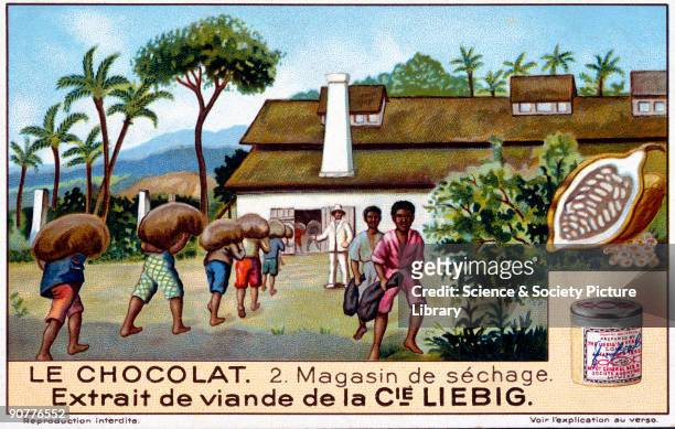 Chocolate: The Drying Shed, Liebig trade card, early 20th century. Magasin de sechage. No 2 in the 'Chocolat' set of cards showing cocoa plantation...