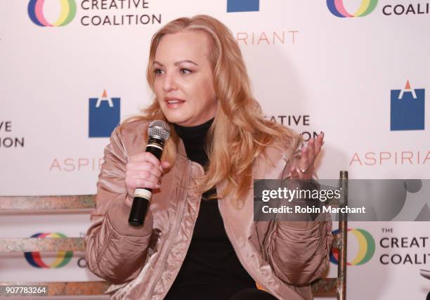 Actor Wendi McLendon-Covey speaks at the 2018 Creative Coalition Leading Women's Luncheon Presented By Aspiriant during Sunfance 2018 on January 20,...