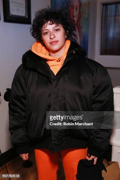 Actor Alia Shawkat attends the 2018 Creative Coalition Leading Women's Luncheon Presented By Aspiriant during Sunfance 2018 on January 20, 2018 in...