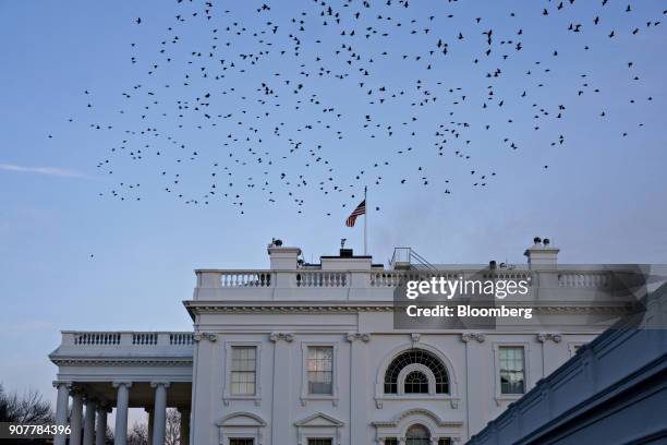 Birds fly over the White House in Washington, D.C., U.S., on Saturday, Jan. 20, 2018. The U.S. Government officially entered a partial shutdown early...