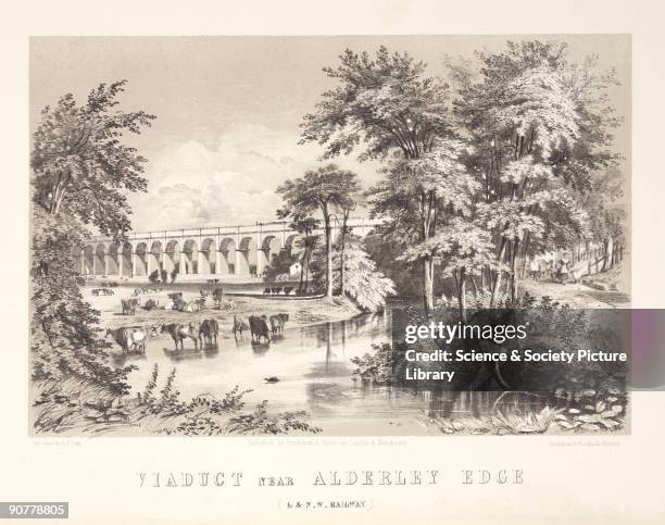 Lithograph, drawn and lithographed by the American-born artist Arthur Fitzwilliam Tait . In the 1830s, the construction of Britain's main railways...